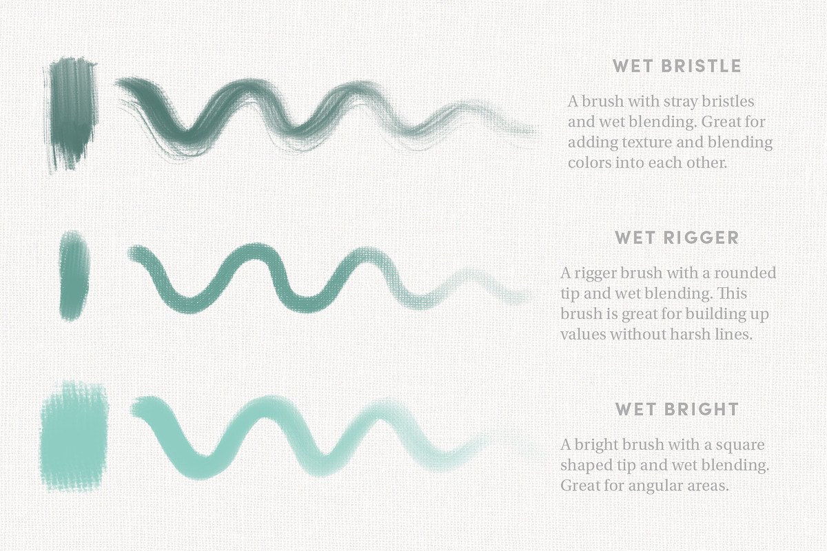 Sargent's Oils – Procreate Brushes, a Brush Add-On by Sadie Lew (Photo 3 of 8)