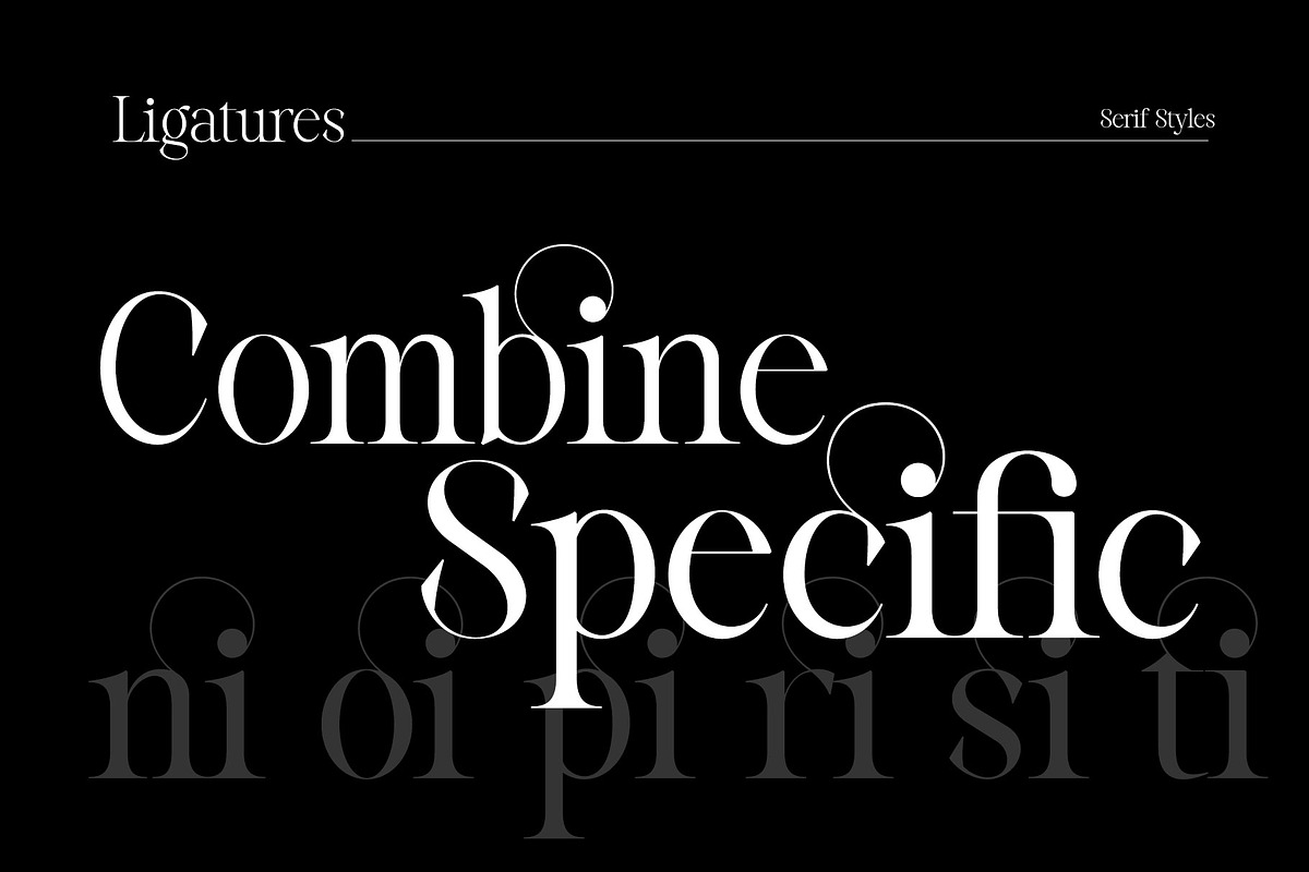 Reichamerina font family, a Serif Font by Ryul Davidson (Photo 19 of 27)