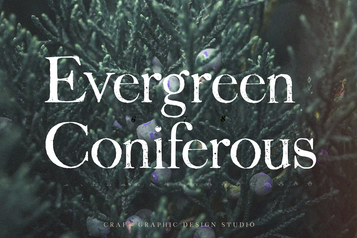 Juniper Vintage Serif Font, a Serif Font by Craft Graphic Type (Photo 2 of 6)