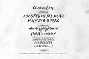 Revolution Brush Font, a Script Font by Debut Studio (Thumbnail 8 of 8)