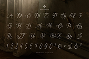 Gladyamor | Modern Calligraphy, a Script Font by Denustudios (Thumbnail 10 of 12)