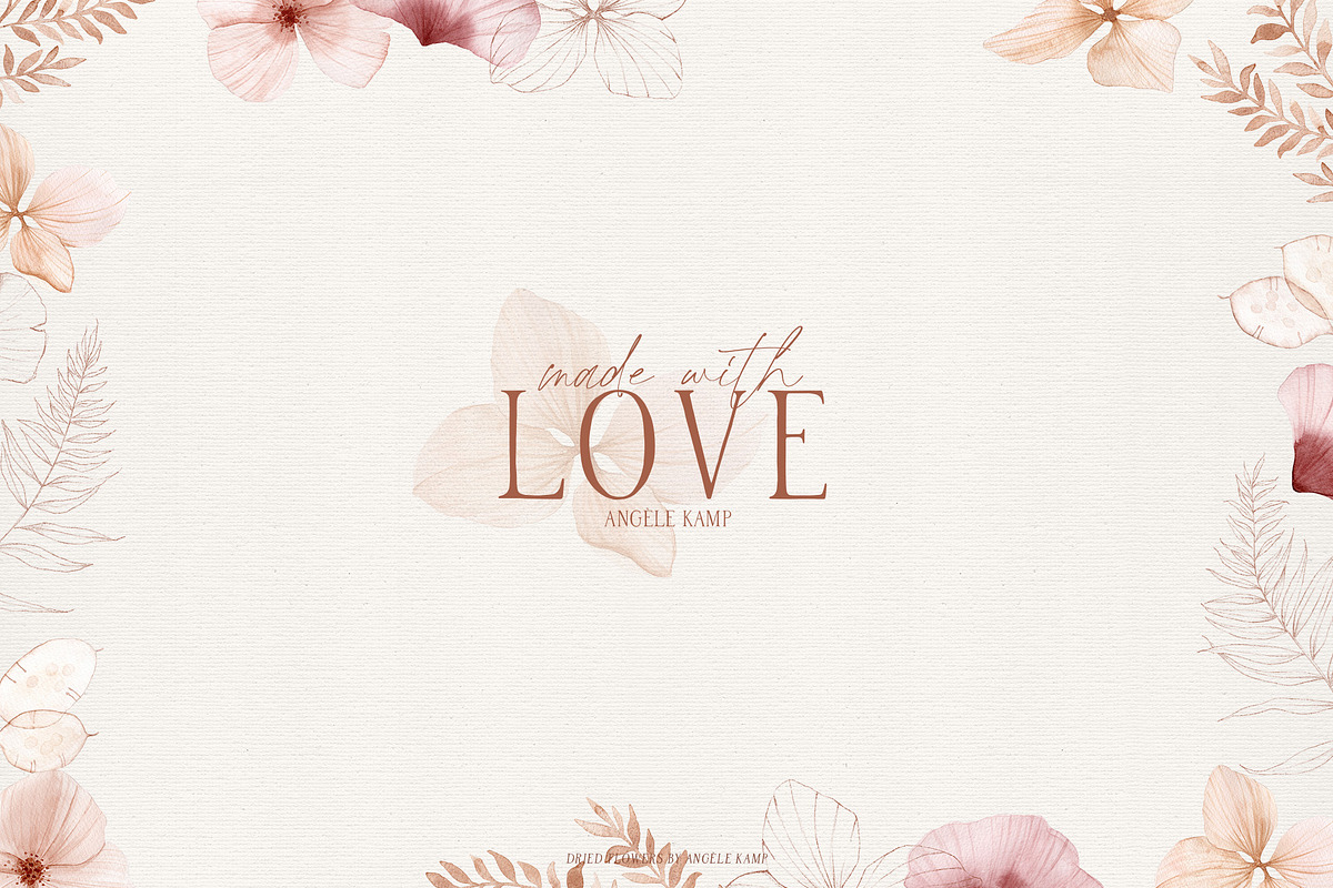 Dried flowers watercolor graphics, an Illustration by Angele Kamp (Photo 10 of 10)