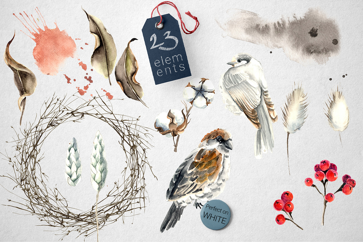 Birds and  Cotton Watercolor Set, an Illustration by WBS Design (Photo 4 of 9)