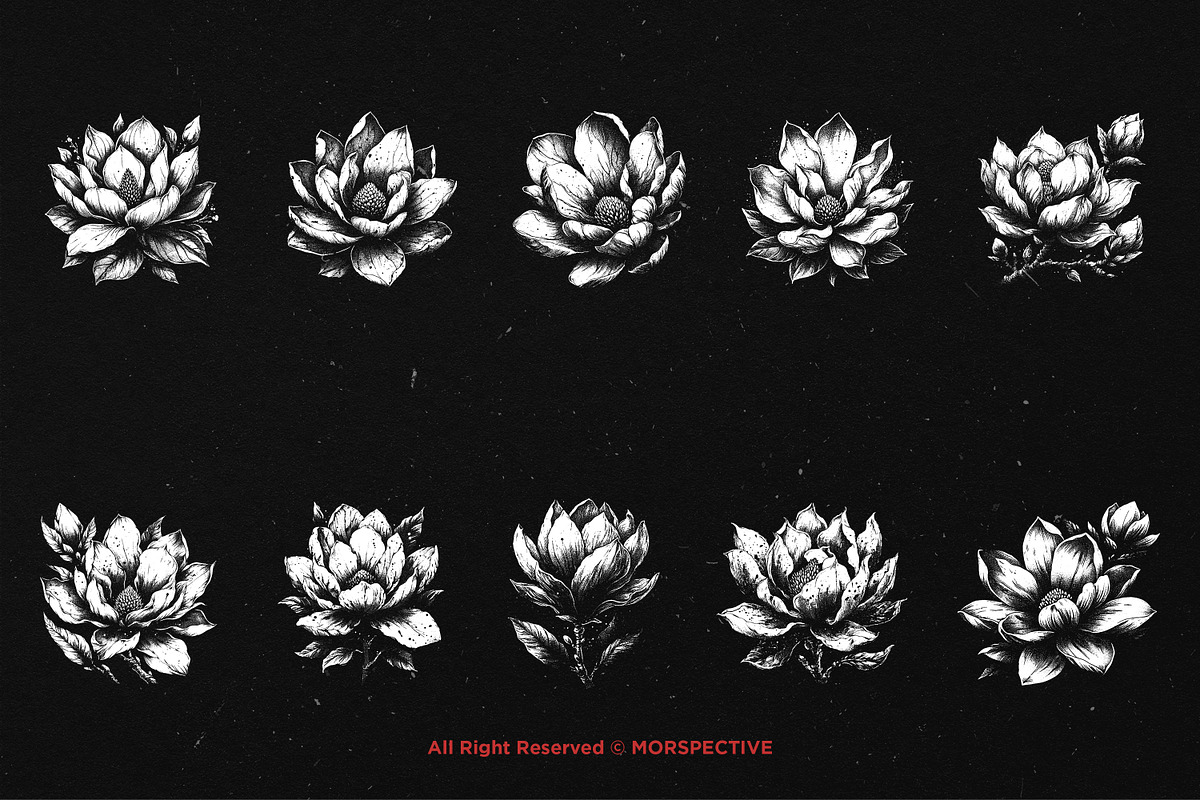 10 Bundle Dark Art Magnolia Flower, an Illustration by Morspective (Photo 6 of 7)