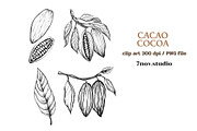 Cacao Cocoa, a Food Illustration by 7nov.studio (Thumbnail 3 of 3)