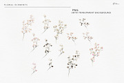 Gypsophila - watercolor flowers, an Object Illustration by ollalya (Thumbnail 6 of 8)