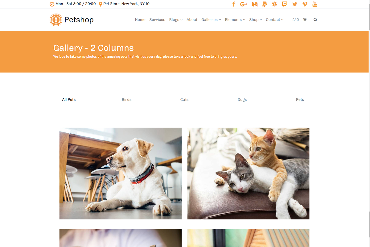 Petshop & Pet Care WordPress Theme, a WordPress Template by Visualmodo (Photo 26 of 30)