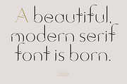 Cloudforest. Chic, modern serif font, a Serif Font by LostandFoundry (Thumbnail 4 of 5)
