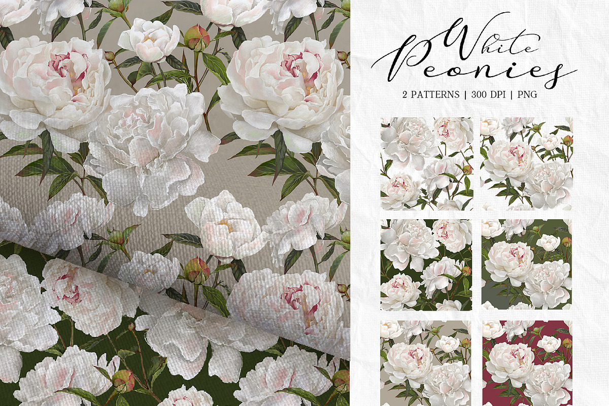 Peonies. Spring flower collection., an Object Graphic by RushkinaAntonina (Photo 4 of 5)