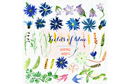 Fields of blue Watercolor clipart, an Illustration by LABFcreations (Thumbnail 2 of 2)
