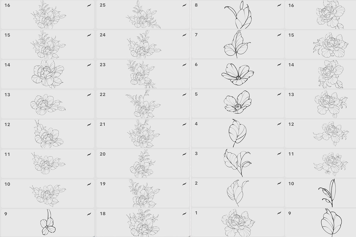 Procreate flower stamp, a Brush Add-On by AnnaPolitmerskaja (Photo 4 of 6)