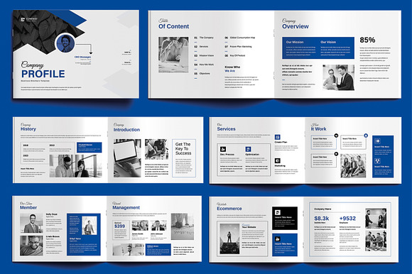 Company Profile Template Layout preview 7