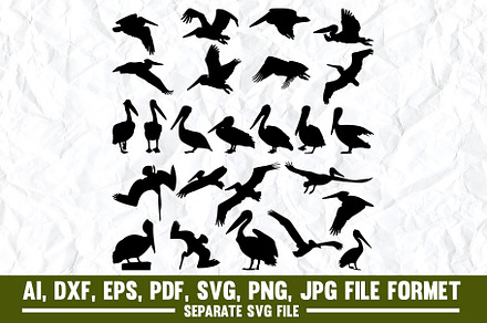 Pelican,Flying,Bird,Sea Bird,Animal, an Object Graphic by asmatanha