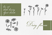 Daisy Line Art Sketch Clipart Set, a Decorative Illustration by LiiaLonn Studio (Thumbnail 2 of 5)