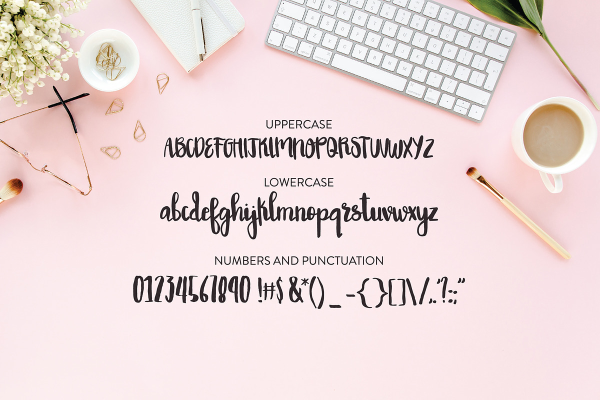 Bella Rose Brush Script Font preview 5