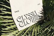 Quelia - Organic Display Font, a Serif Font by Piotr Łapa (Thumbnail 3 of 12)