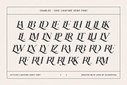 Charles - Ligature Serif Font Family, a Serif Font by SilverStag Type Foundry (Thumbnail 28 of 32)