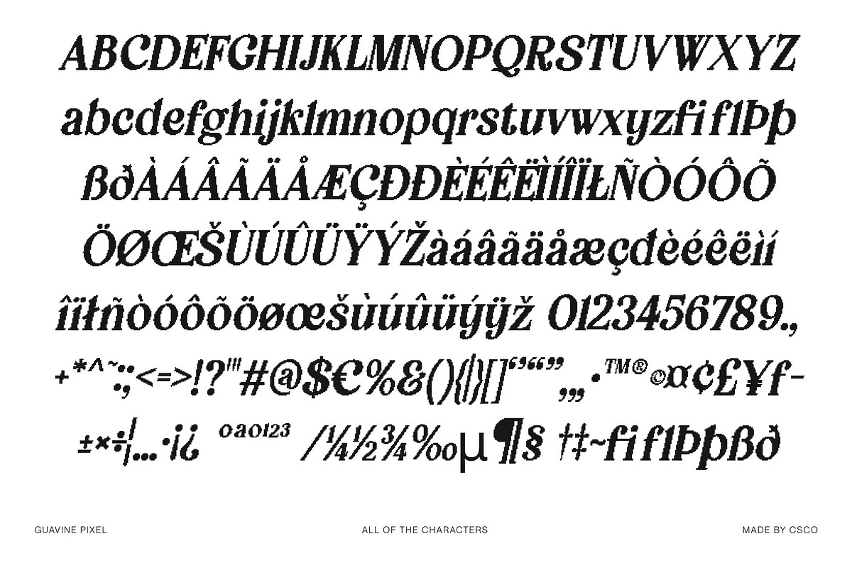 Guavine Pixel, a Serif Font by Craft Supply Co. (Photo 8 of 8)