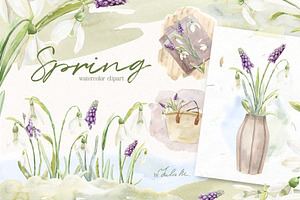 Spring Snowdrop And Muscari Clip Art