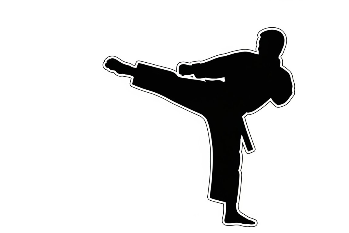 Dynamic martial arts kick silhouette, a Graphic by Amazin_art (Photo 11 of 36)