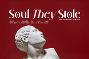 Ruadson Modern Serif Font, a Serif Font by Storytype Studio (Thumbnail 5 of 15)