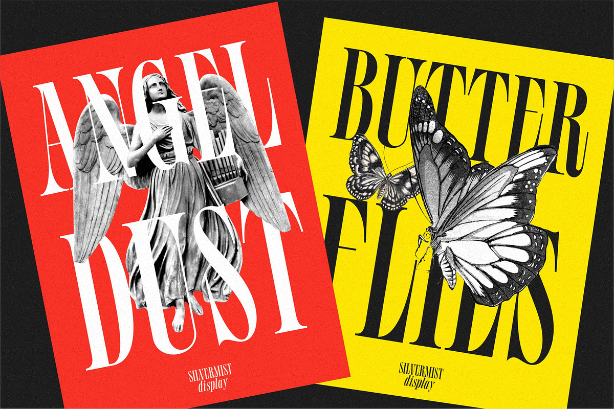 Silvermist Display Serif, a Serif Font by Letteralle Studios (Photo 4 of 9)