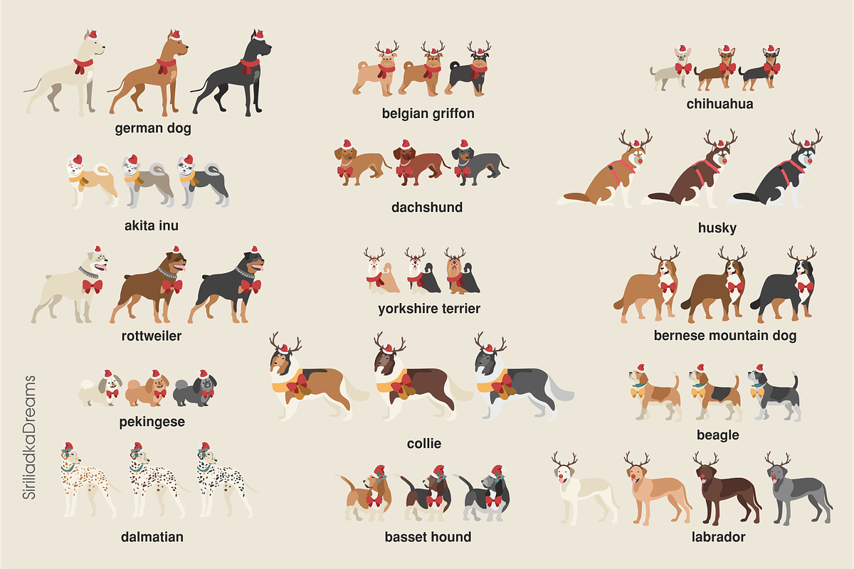 Christmas and New Year dogs clipart, an Illustration by Siriliadka Dreams (Photo 6 of 8)
