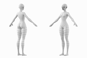 Stylized Female 02 Fine Shape Mesh