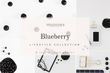 Blueberry Styled Photo Collection, a Business Photo by Fempreneur Styled Stock