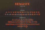 Newgate, a Serif Font by FactoryType Studio (Thumbnail 8 of 10)