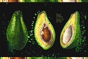 Hand-drawn watercolor Avocado, a Food Illustration by Margo Miller (Thumbnail 3 of 12)
