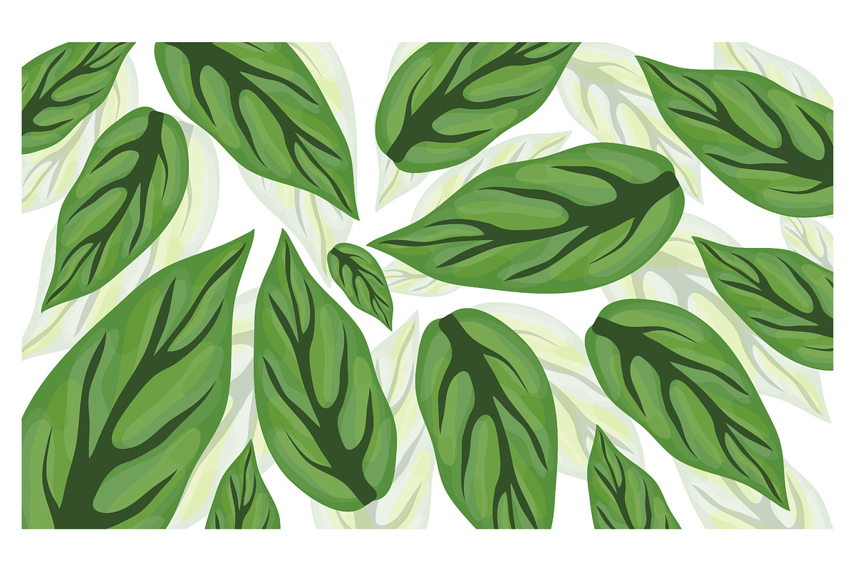 Leaves Background design set bundle, a Decorative Illustration by foxndeer (Photo 2 of 4)