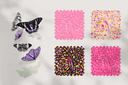 Butterfly Patterns, a Pattern Graphic by PatrushevaYana (Thumbnail 7 of 9)