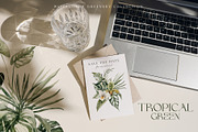 Tropacal Green-watercolor, a Decorative Illustration by AleksaArt (Thumbnail 3 of 16)
