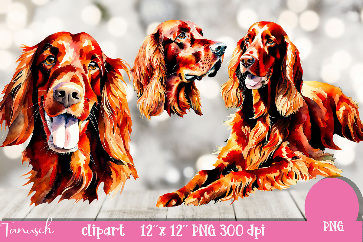 watercolor irish setter clipart PNG, an Animal Illustration by TanuschArts (Photo 3 of 5)