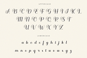Ranzene - Elegant Script Font, a Script Font by Randi Irvan | Rvandtype (Thumbnail 9 of 14)