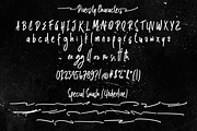 Diversity - Playful Handmade Font, a Script Font by Aldedesign (Thumbnail 7 of 9)