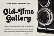 Gladolia - Chunky Groovy Font, a Serif Font by Dharmas Foundry (Thumbnail 7 of 16)