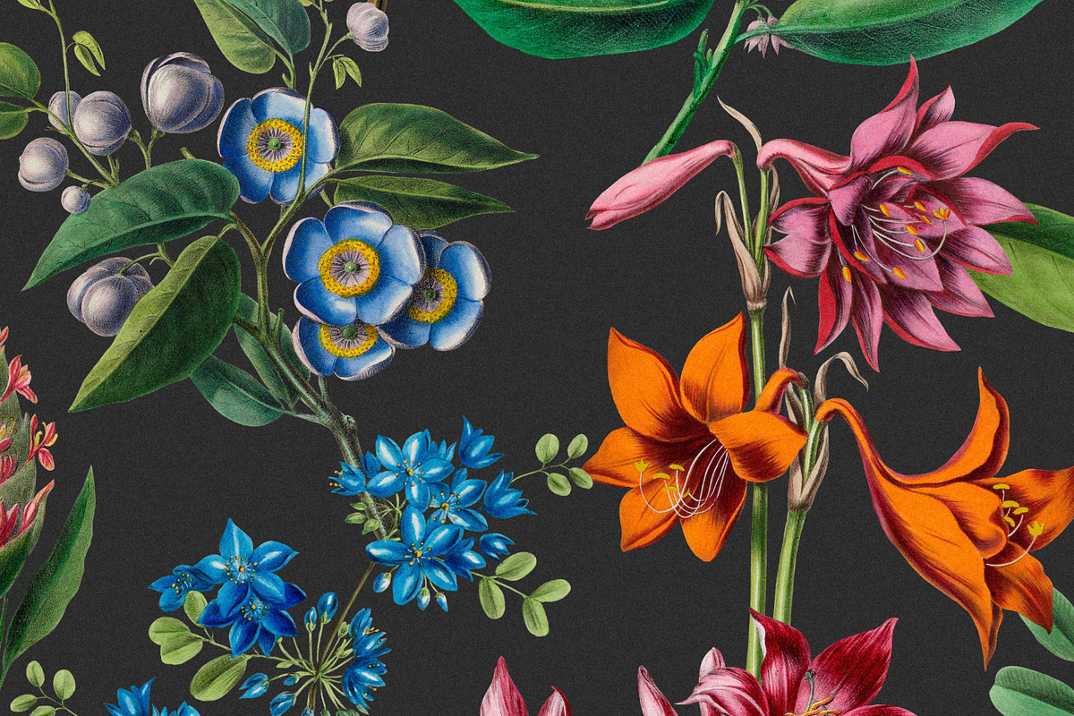 Exquisite Botanical Floral Pattern, a Pattern Graphic by likorbut (Photo 13 of 14)