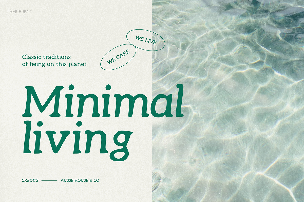 Raw Serif - Handwritten Font Family, a Serif Font by SHOOM HOUSE (Photo 5 of 12)