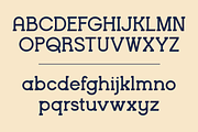 Brenzo - Slab Serif, a Slab Serif Font by Valentino Vergan (Thumbnail 11 of 20)