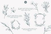 vintage clipart ink illustration set, a Decorative Illustration by Patishop Art (Thumbnail 6 of 9)