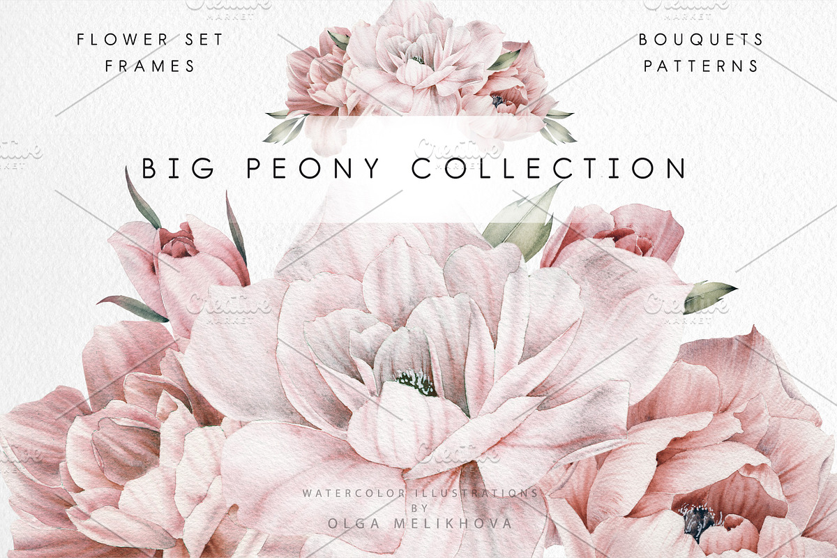 WATERCOLOR BUNDLE Peonies & Roses, an Illustration by ollalya (Photo 26 of 101)
