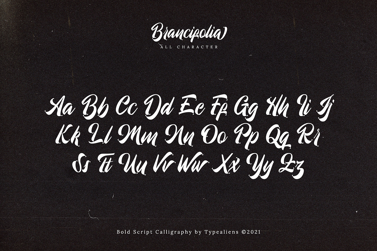 Brancifolia, a Script Font by ilhamtaro (Photo 7 of 11)