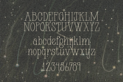 OPHIDIA Typeface, a Serif Font by Few & Fahr Studio (Thumbnail 2 of 7)