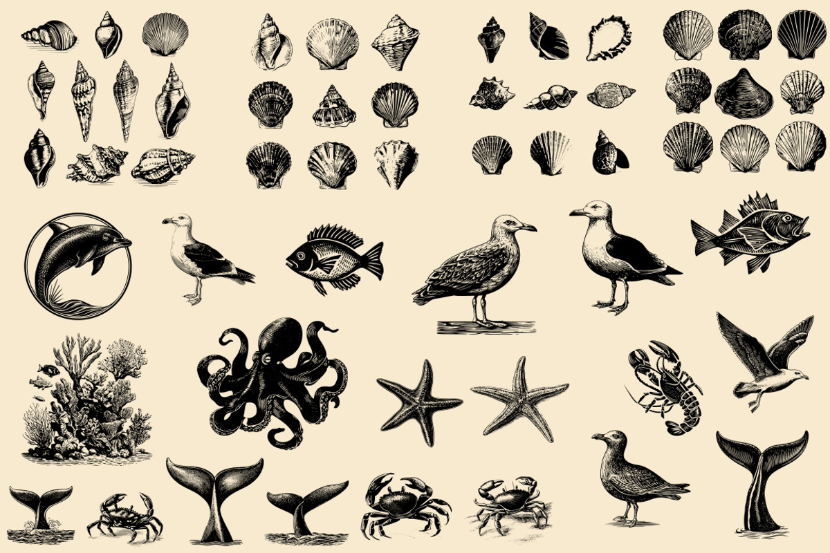 Vintage Coastal Travel Illustrations, an Object Illustration by Nocturnal Wolf (Photo 25 of 27)