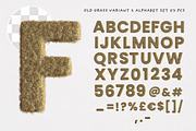 Old Dry Grass or Fur Typo Creator, a Sans Serif Font by TVartworks (Thumbnail 6 of 13)