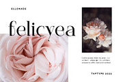 Elonade - Classic Serif Display Font, a Serif Font by Vesvocrea (Thumbnail 7 of 11)