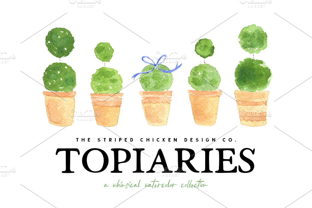 Watercolor Topiary Collection, an Illustration by thestripedchicken (Photo 1 of 6)