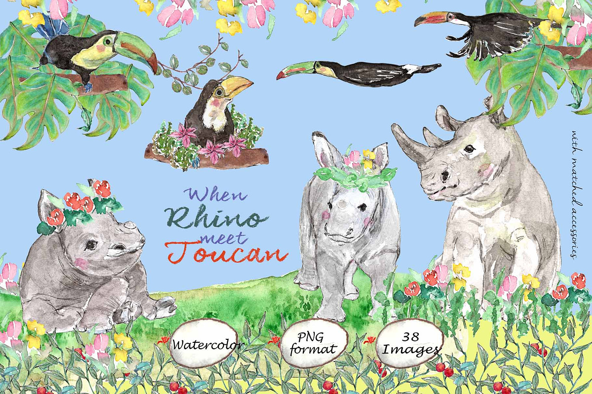 Rhino & Toucan-Watercolor Clipart, an Illustration by VianneArt (Photo 1 of 7)